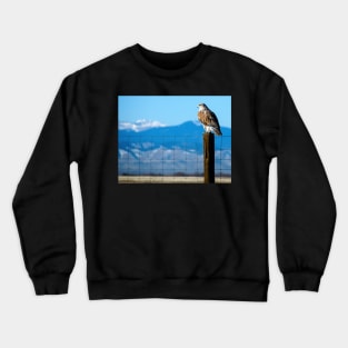 Ferruginous Hawk Crewneck Sweatshirt